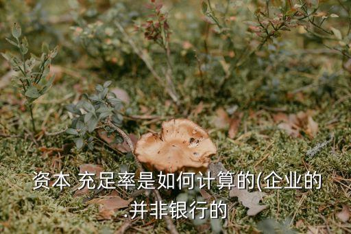 資本充足率公式,巴塞爾協(xié)議1資本充足率公式