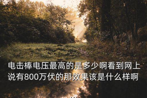  電擊棒電壓最高的是多少啊看到網(wǎng)上說有800萬伏的那效果該是什么樣啊...