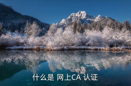 什么是 網(wǎng)上CA 認(rèn)證