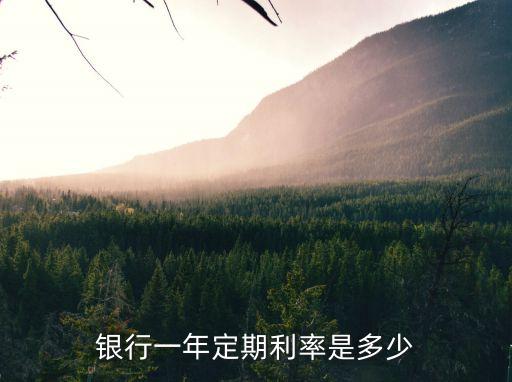 一年期利息,各大銀行一年期利息