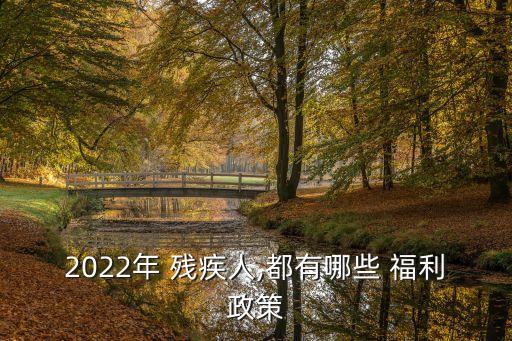 2022年 殘疾人,都有哪些 福利政策