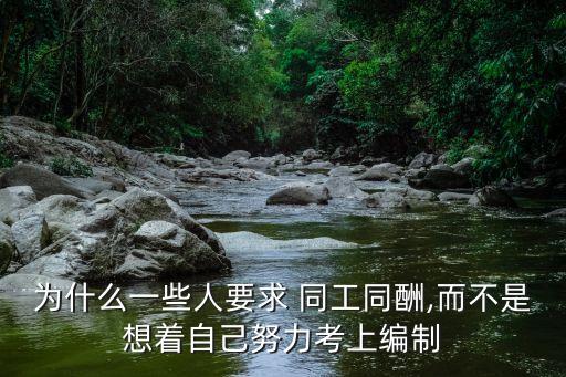 為什么一些人要求 同工同酬,而不是想著自己努力考上編制