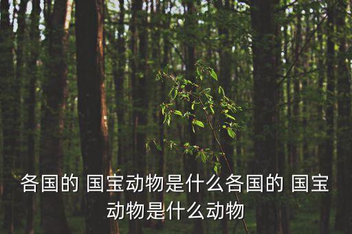 各國的 國寶動物是什么各國的 國寶動物是什么動物