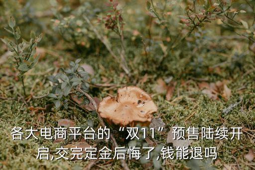 雙十一定金交了不想買了可以退嗎