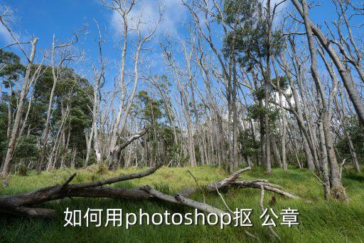 如何用photoshop摳 公章