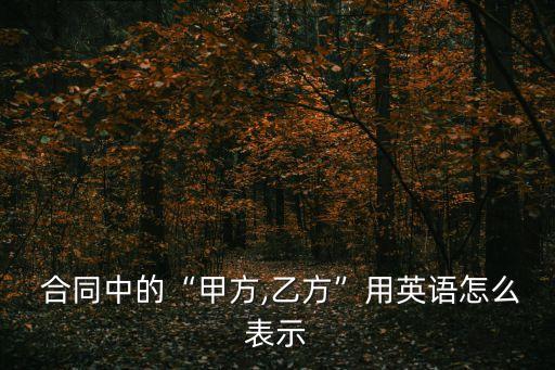  合同中的“甲方,乙方”用英語怎么表示