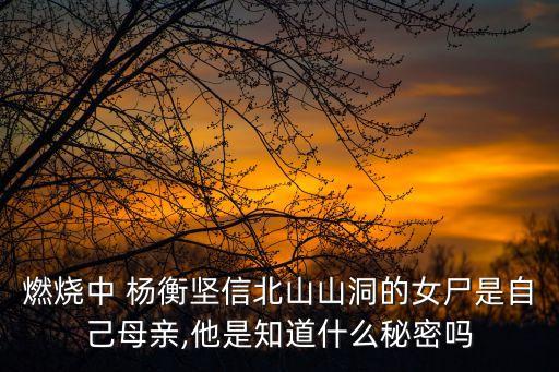 楊衡,當小媽文學照進現(xiàn)實結(jié)局楊衡