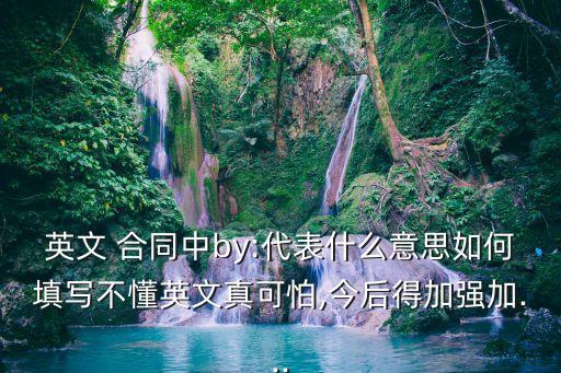 英文 合同中by:代表什么意思如何填寫不懂英文真可怕,今后得加強加...