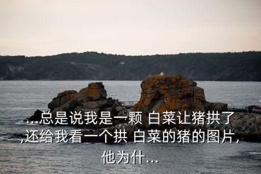 ...總是說我是一顆 白菜讓豬拱了,還給我看一個拱 白菜的豬的圖片,他為什...