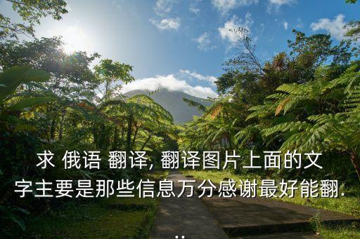 俄語翻譯英語,中俄翻譯軟件
