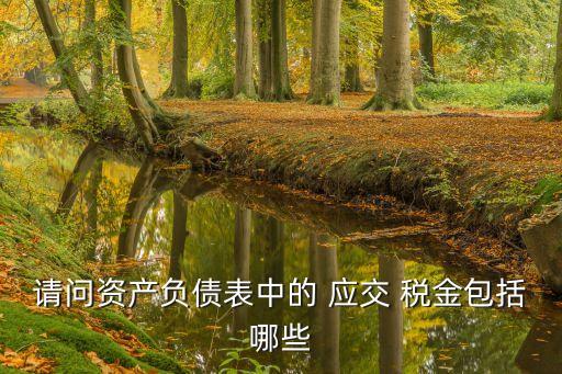 請問資產(chǎn)負(fù)債表中的 應(yīng)交 稅金包括哪些