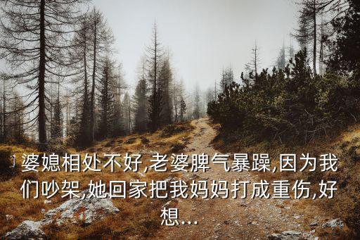 媳婦兒很暴力,老婆生氣了要離婚怎么挽回