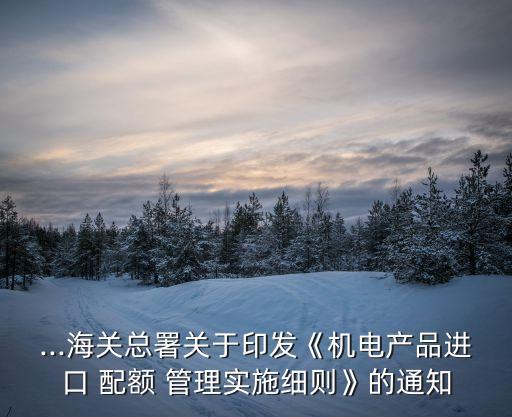 ...海關總署關于印發(fā)《機電產(chǎn)品進口 配額 管理實施細則》的通知