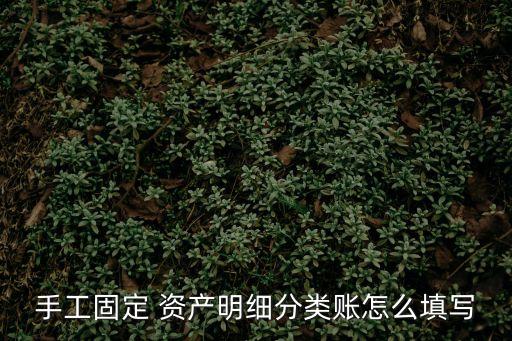 手工固定 資產(chǎn)明細(xì)分類賬怎么填寫