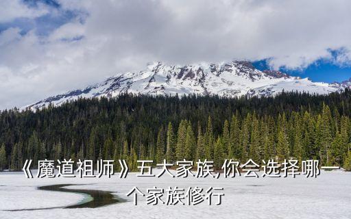 《魔道祖師》五大家族,你會(huì)選擇哪一個(gè)家族修行