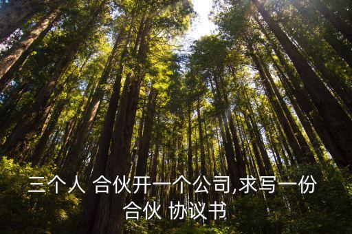 三個(gè)人 合伙開(kāi)一個(gè)公司,求寫(xiě)一份 合伙 協(xié)議書(shū)