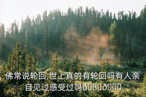 佛常說輪回,世上真的有輪回嗎有人親自見過感受過嗎??