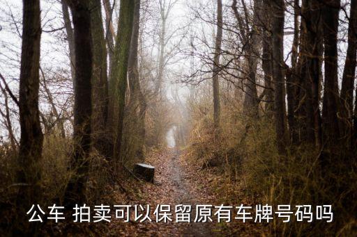 公車(chē)拍賣(mài),2023年最新政府公車(chē)拍賣(mài)