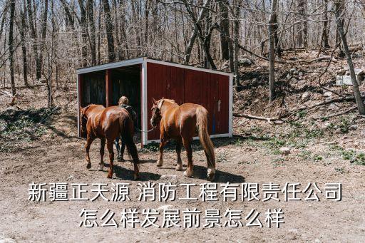  新疆正天源 消防工程有限責任公司怎么樣發(fā)展前景怎么樣