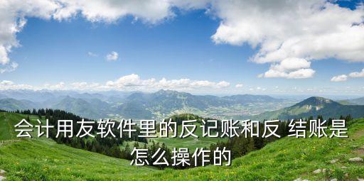 會(huì)計(jì)用友軟件里的反記賬和反 結(jié)賬是怎么操作的