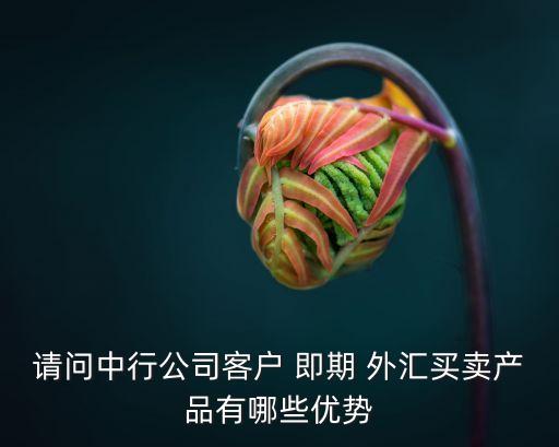 請(qǐng)問中行公司客戶 即期 外匯買賣產(chǎn)品有哪些優(yōu)勢(shì)
