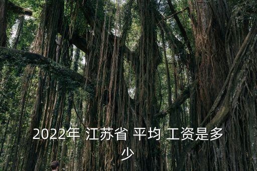 2022年 江蘇省 平均 工資是多少