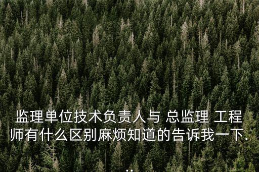 監(jiān)理單位技術(shù)負(fù)責(zé)人與 總監(jiān)理 工程師有什么區(qū)別麻煩知道的告訴我一下...