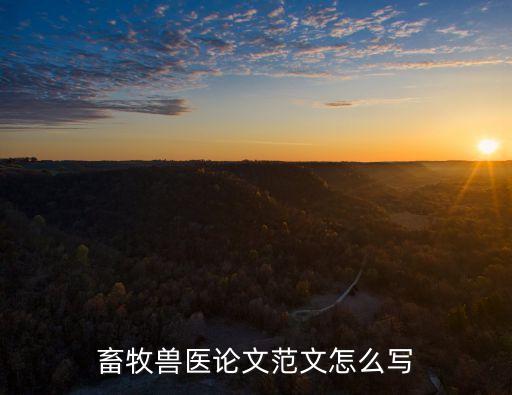 校企合作總結(jié),傳媒公司校企合作總結(jié)