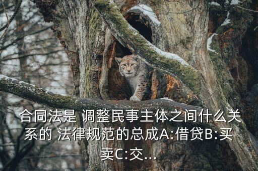 合同法調(diào)整的法律關(guān)系包括,什么為我國合同法所調(diào)整的法律關(guān)系