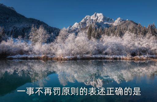  一事不再罰原則的表述正確的是