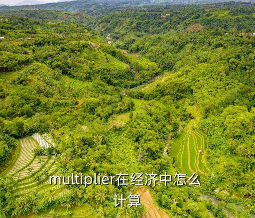multiplier在經(jīng)濟中怎么 計算