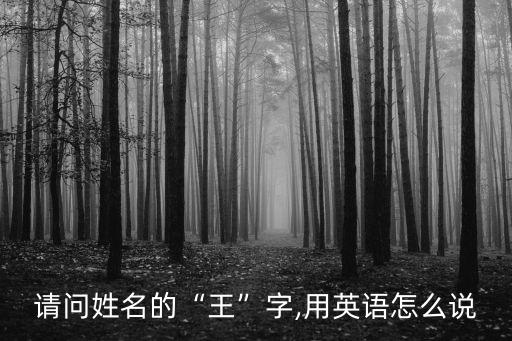 請問姓名的“王”字,用英語怎么說