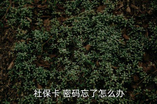  社?？?密碼忘了怎么辦