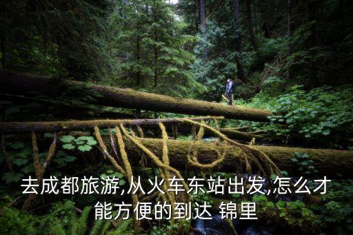 去成都旅游,從火車東站出發(fā),怎么才能方便的到達(dá) 錦里