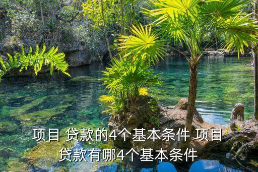 項(xiàng)目貸款