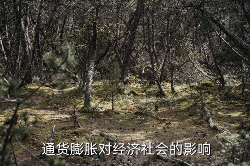 通貨膨脹的后果,宏觀經(jīng)濟(jì)學(xué)通貨膨脹的后果