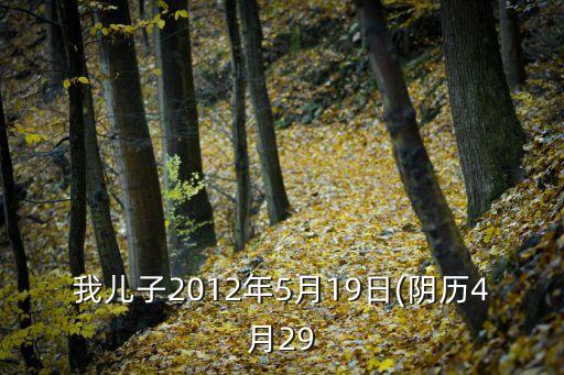 我兒子2012年5月19日(陰歷4月29