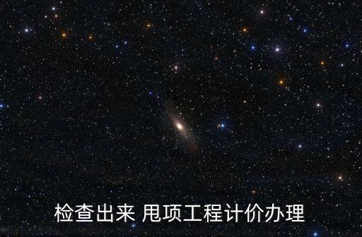 甩項