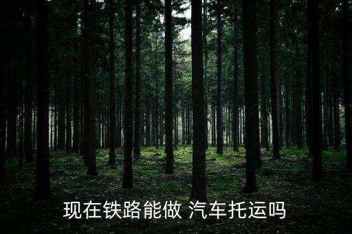 現(xiàn)在鐵路能做 汽車托運嗎