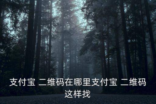 支付寶 二維碼在哪里支付寶 二維碼這樣找