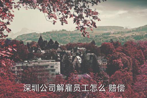  深圳公司解雇員工怎么 賠償