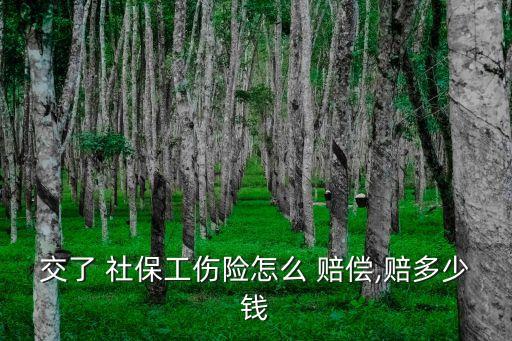 社保賠償金額怎么算,公司沒買社保辭職能賠償多少