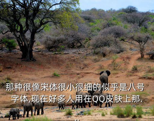那種很像宋體很小很細(xì)的似乎是八號 字體,現(xiàn)在好多人用在QQ皮膚上那...