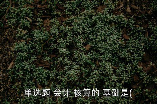 單選題 會(huì)計(jì) 核算的 基礎(chǔ)是(