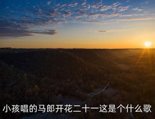 小孩唱的馬郎開花二十一這是個什么歌