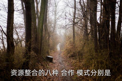 合作模式有哪些,公司和公司合作模式有哪些