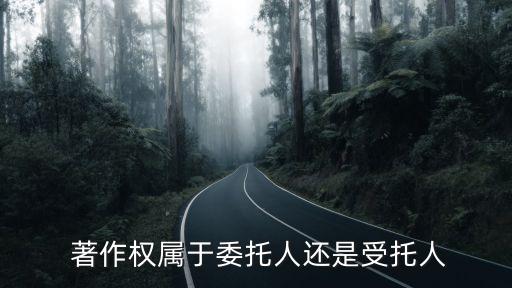 著作權(quán)歸屬,委托開(kāi)發(fā)的軟件著作權(quán)歸屬