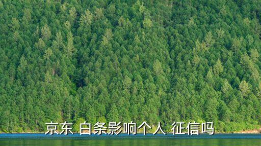 京東 白條影響個(gè)人 征信嗎