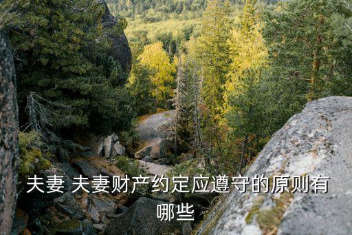  夫妻 夫妻財產(chǎn)約定應(yīng)遵守的原則有哪些