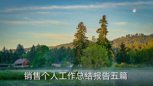 銷(xiāo)售個(gè)人工作總結(jié)報(bào)告五篇